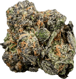 Kosher Dawg