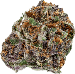 Mimosa
